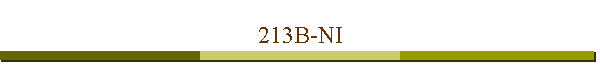 213B-NI