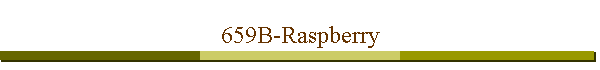 659B-Raspberry