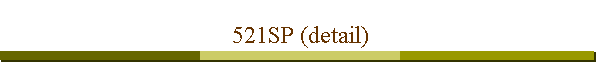 521SP (detail)