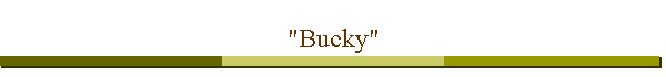 "Bucky"